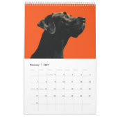Calendrier Veterinary Clinic Dog (Feb 2027)