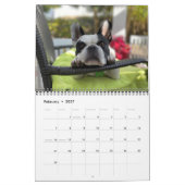 CALENDRIER VIBE DE BUBBA 2021 (Feb 2027)