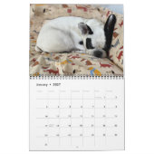 CALENDRIER VIBE DE BUBBA 2021 (Jan 2027)