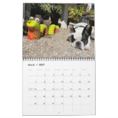 CALENDRIER VIBE DE BUBBA 2021 (Mar 2027)