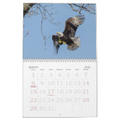 CALENDRIER VIE DE BALD EAGLE (Mar 2026)