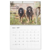 Calendrier Ville-pays Leonbergers (Mar 2027)