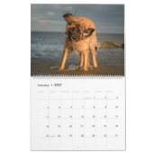 Calendrier Ville-pays Leonbergers (Jan 2027)