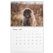 Calendrier Ville-pays Leonbergers (Feb 2027)