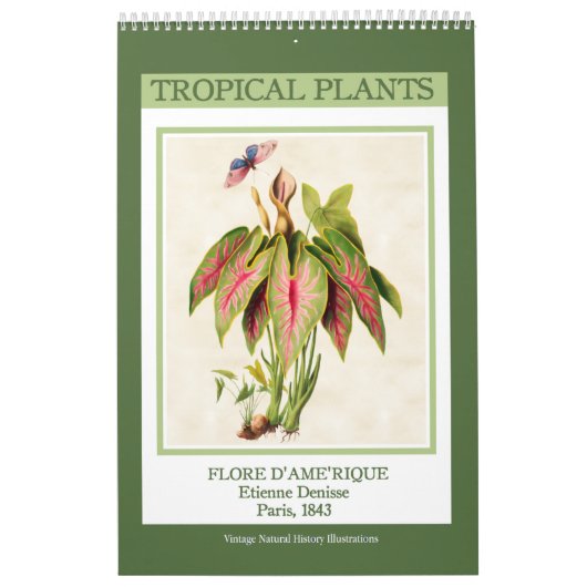 Calendrier Vintage Botanique Tropical Plantes 2026 (Protection)