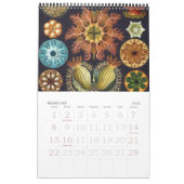 Calendrier Vintage Ernst Haeckel, Biologie, Botanique, Scienc (Feb 2026)