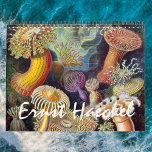 Calendrier Vintage Ernst Haeckel, Biologie, Botanique, Scienc<br><div class="desc">Calendrier de 12 mois avec illustrations vintages d'Ernst Haeckel. Un grand cadeau pour les geeks et les geeks de la science ! De la biologie marine à la botanique et au-delà ! Comprend des scènes de nature avec des animaux, des araignées déplaisantes, des plantes tropicaux, des fleurs et des orchidées...</div>