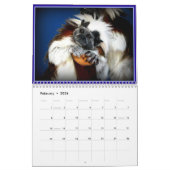 Calendrier Visages d'animal sauvage (Feb 2026)