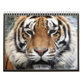 Calendrier Visages d'animal sauvage (Protection)