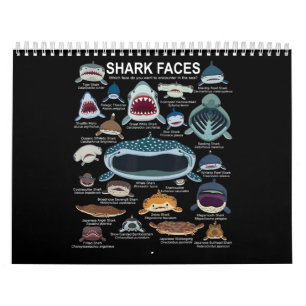 Calendrier Visages de requins auxquels vous voulez participer