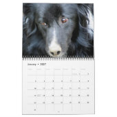 Calendrier Visages et Expressions de Chiens (Jan 2027)