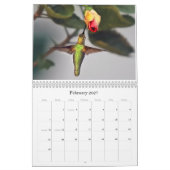 Calendrier Vision de vallée (Feb 2027)