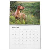 Calendrier Vizsla 2026 (Mar 2026)