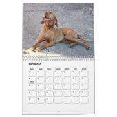 Calendrier Vizsla Calendar (Mar 2026)