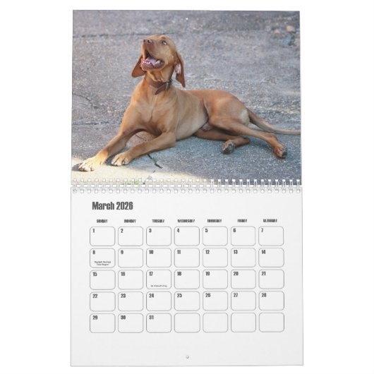 Calendrier Vizsla Calendar (Mar 2026)