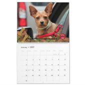 Calendrier Voitures Et Paniers (Jan 2027)