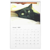 Calendrier vol. 1 de club de chat noir (Jan 2027)