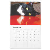 Calendrier vol. 1 de club de chat noir (Feb 2026)