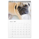 Calendrier Votre photo Dog 14 Citation 2026 (Jan 2027)