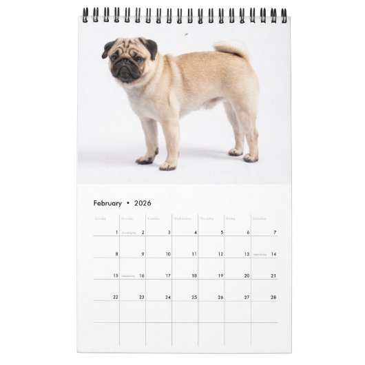 Calendrier Votre photo Dog 14 Citation 2026 (Feb 2026)