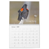 Calendrier - Vous cherchez des oiseaux? (Jan 2027)