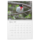 Calendrier - Vous cherchez des oiseaux? (Feb 2027)
