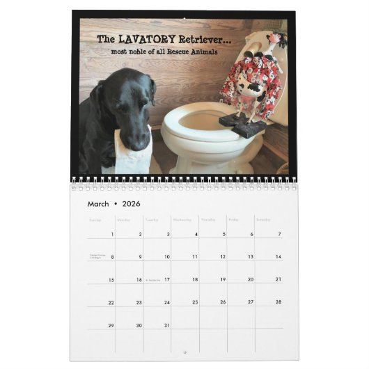 Calendrier Vous nHEIFER trouverez un meilleur COWlendar que (Mar 2026)