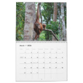 Calendrier Voyage et orangs-outans du Bornéo (Mar 2026)