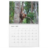 Calendrier Voyage et orangs-outans du Bornéo (Mar 2027)