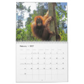 Calendrier Voyage et orangs-outans du Bornéo (Feb 2027)