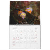 Calendrier Voyages sous-marins 2008 (Feb 2027)