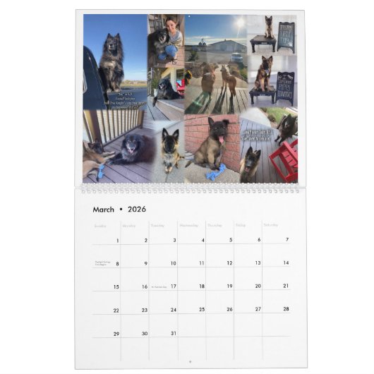Calendrier Vrai Chevalier Belge Tervuren chien/chiot Calendri (Mar 2026)