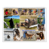 Calendrier Vrai Chevalier Belge Tervuren chien/chiot Calendri (Protection)