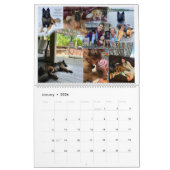 Calendrier Vrai Chevalier Belge Tervuren chien/chiot Calendri (Jan 2026)