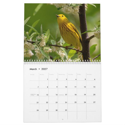 Calendrier Warbling Through 2026 (Mar 2027)