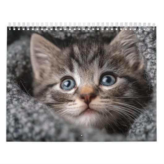 Calendrier Warm Aesthetic Animal | Cozy Cat Photography Wall (Protection)