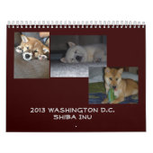 Calendrier Washington 2013 D.C. Shiba Inu (Protection)
