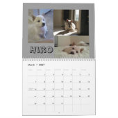 Calendrier Washington 2013 D.C. Shiba Inu (Mar 2027)