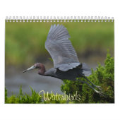 Calendrier Waterbirds 4 (Protection)