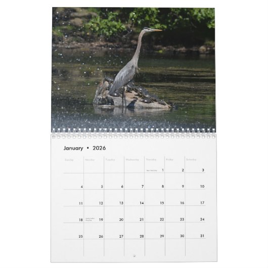Calendrier Waterbirds 4 (Jan 2026)