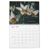 Calendrier Watercolor Flowers Calendar (Mar 2027)