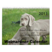 Calendrier Weimaraner (Protection)