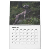 Calendrier Weimaraner Calendar (Feb 2027)