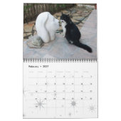 CALENDRIER WEIRD CATS 2017 (Feb 2027)