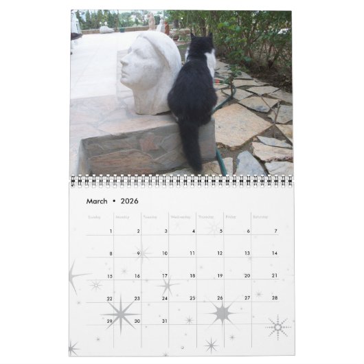 CALENDRIER WEIRD CATS 2017 (Mar 2026)