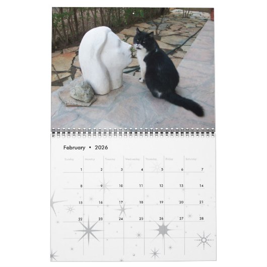 CALENDRIER WEIRD CATS 2017 (Feb 2026)