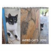 CALENDRIER WEIRD CATS 2017 (Protection)