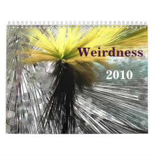 Calendrier Weirdness 2010