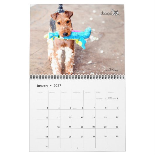 Calendrier Welsh Terrier (Jan 2027)