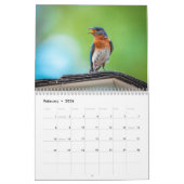Calendrier Wens Cardinals Hummingbirds Pics Bird (Feb 2026)